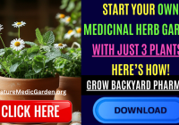 Medi Gardem Org 1