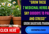 Medi Gardem Org 3 (2)